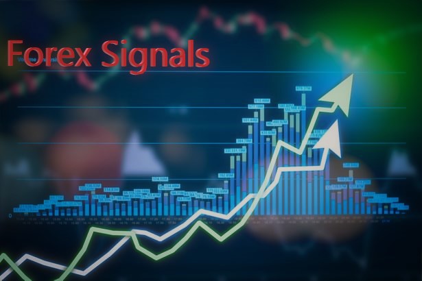 Forex Gann forecast stock market Forex Eur usd Gold | Senza titolo